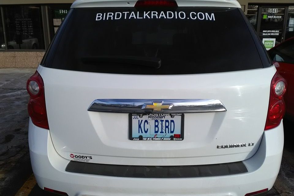 cropped-BIRD.MOBILE.jpg