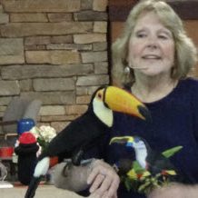 cropped-rotaryclub.daycamp.wingsoflove.show3_.jpg