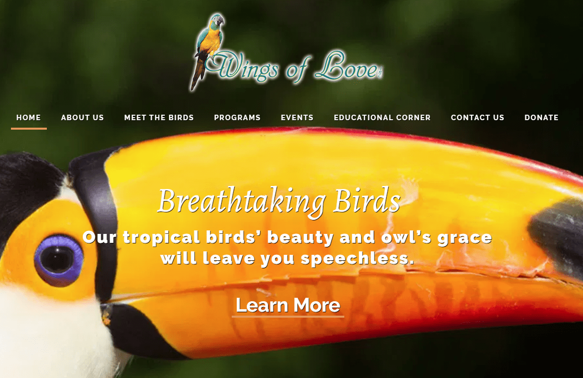 cropped-WINGSOFLOVEINC.ORG_.SCREENSHOT.png
