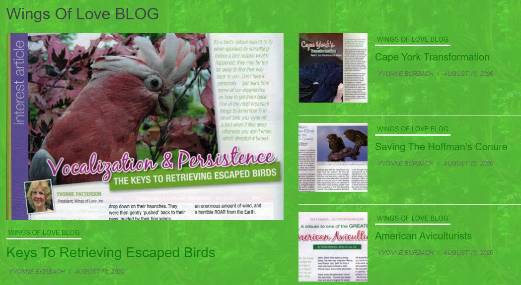 cropped-WOL.BLOG_.SCREENSHOT-1.jpg